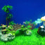 Your one-stop shop for diverse, top-quality aquarium supplies and accessories
