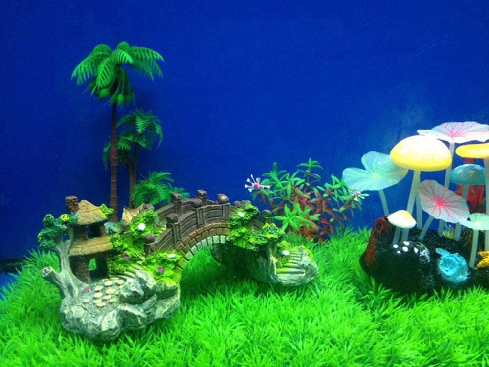 Your one-stop shop for diverse, top-quality aquarium supplies and accessories