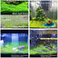 Your one-stop shop for diverse, top-quality aquarium supplies and accessories