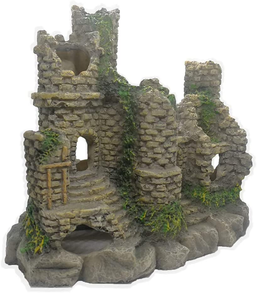 Your one-stop shop for diverse, top-quality aquarium supplies and accessories