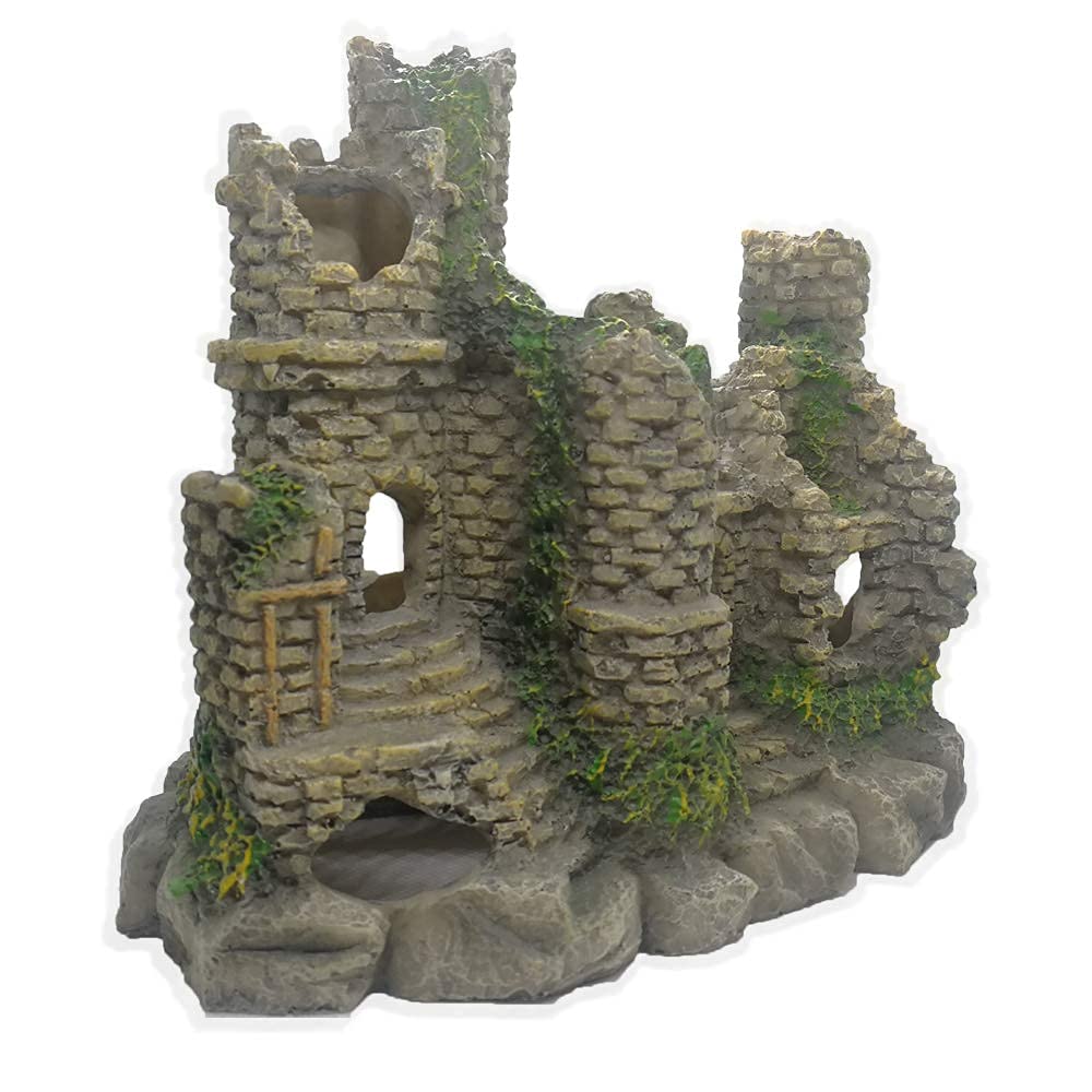 Your one-stop shop for diverse, top-quality aquarium supplies and accessories