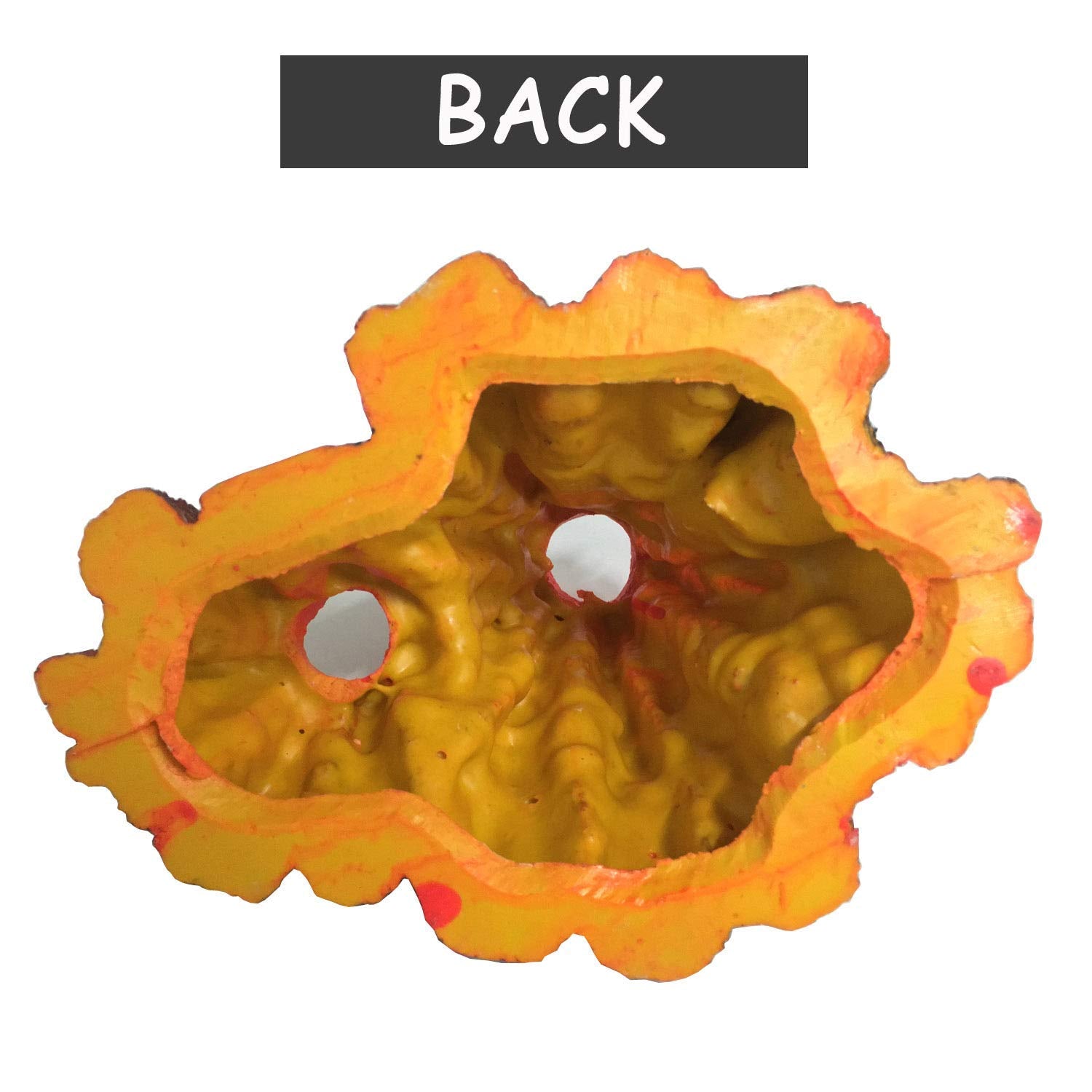 Your one-stop shop for diverse, top-quality aquarium supplies and accessories