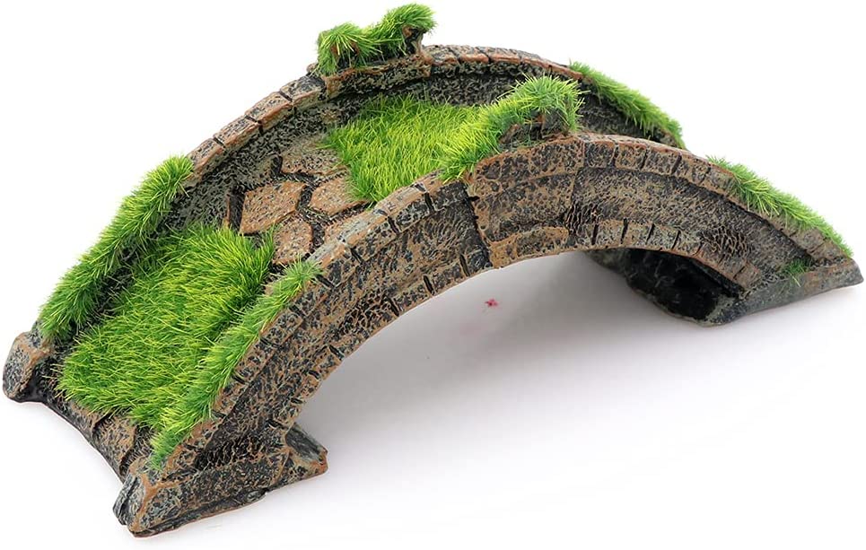 Your one-stop shop for diverse, top-quality aquarium supplies and accessories