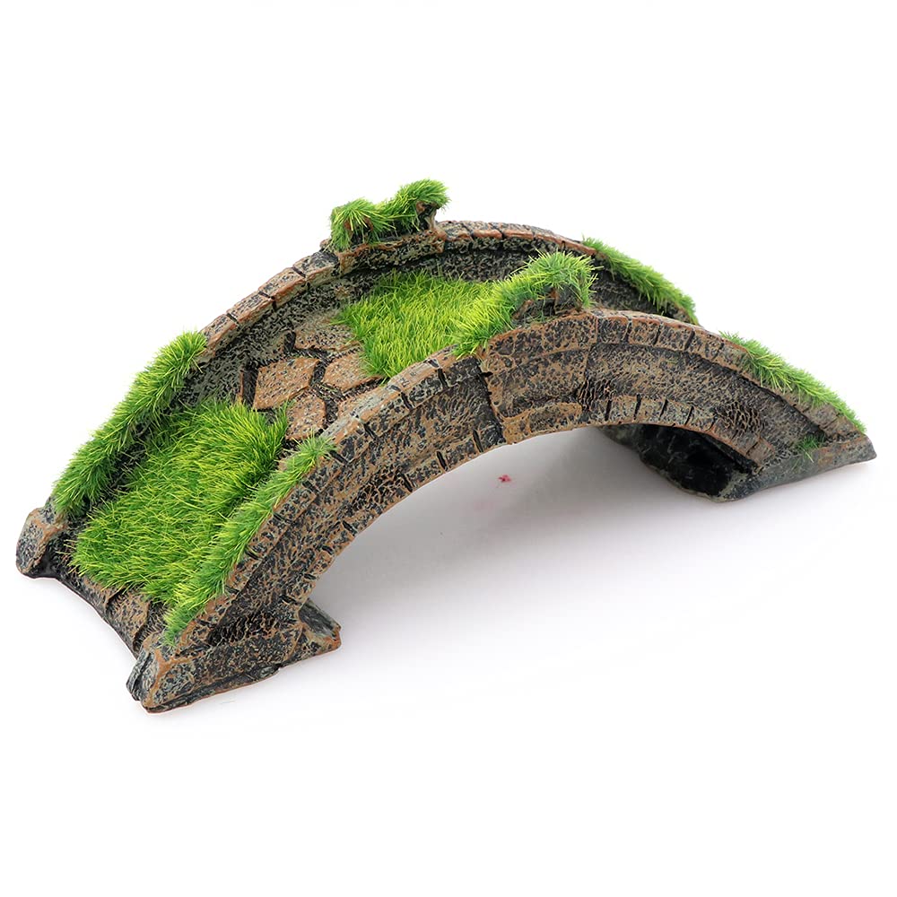 Your one-stop shop for diverse, top-quality aquarium supplies and accessories