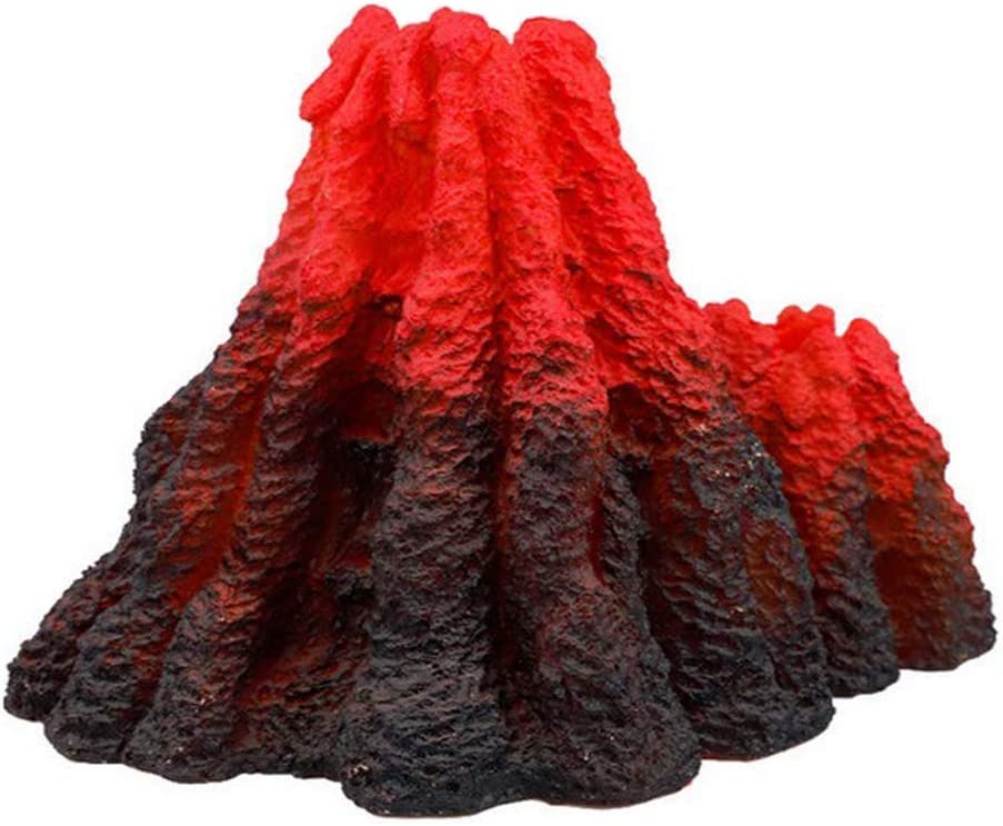 Your one-stop shop for diverse, top-quality aquarium supplies and accessories