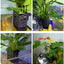 Your one-stop shop for diverse, top-quality aquarium supplies and accessories
