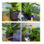 Your one-stop shop for diverse, top-quality aquarium supplies and accessories