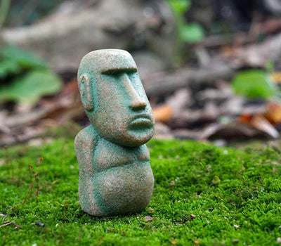 Your one-stop shop for diverse, top-quality aquarium supplies and accessories