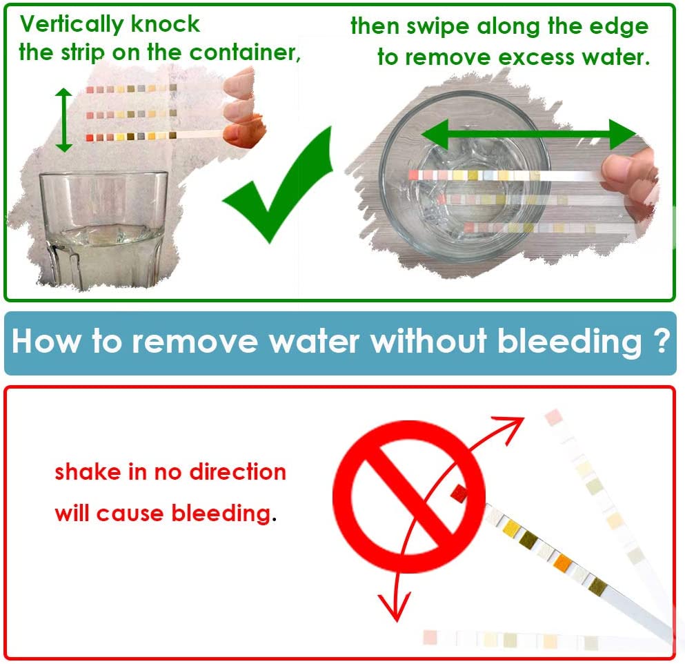 Your one-stop shop for diverse, top-quality aquarium supplies and accessories