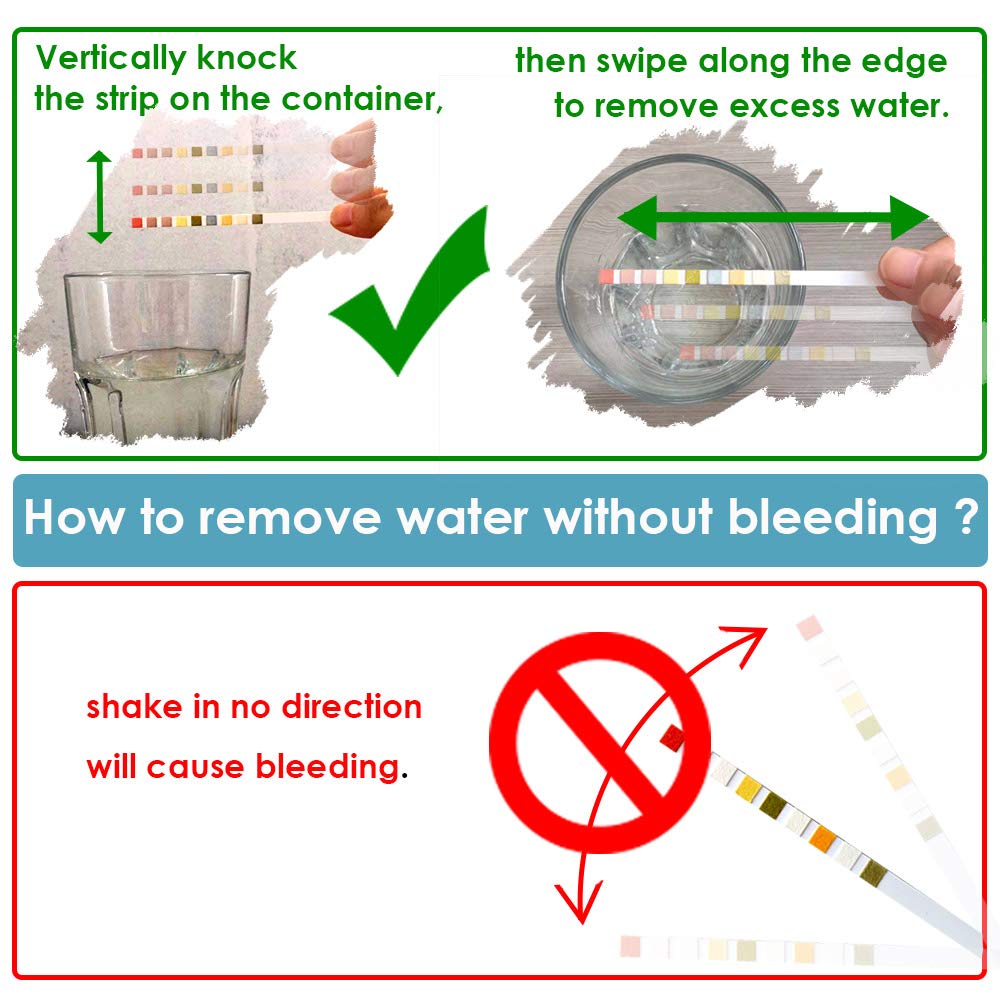 Your one-stop shop for diverse, top-quality aquarium supplies and accessories