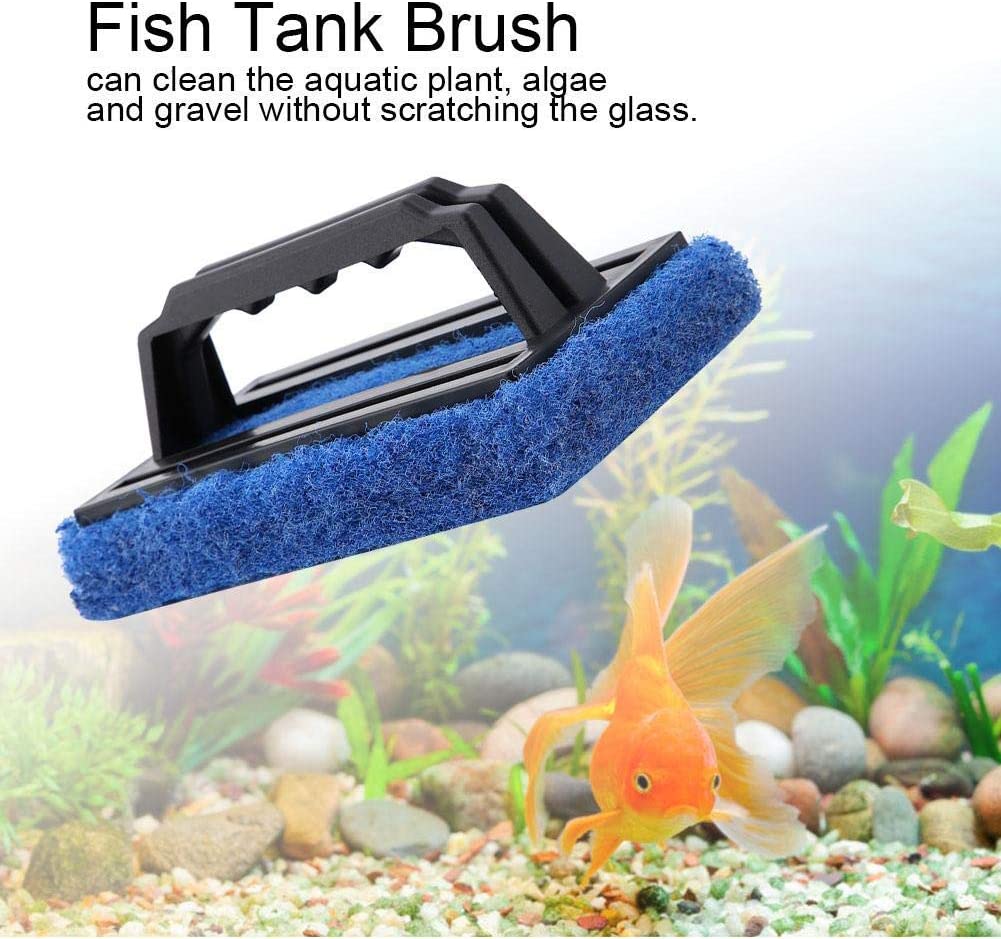 Your one-stop shop for diverse, top-quality aquarium supplies and accessories