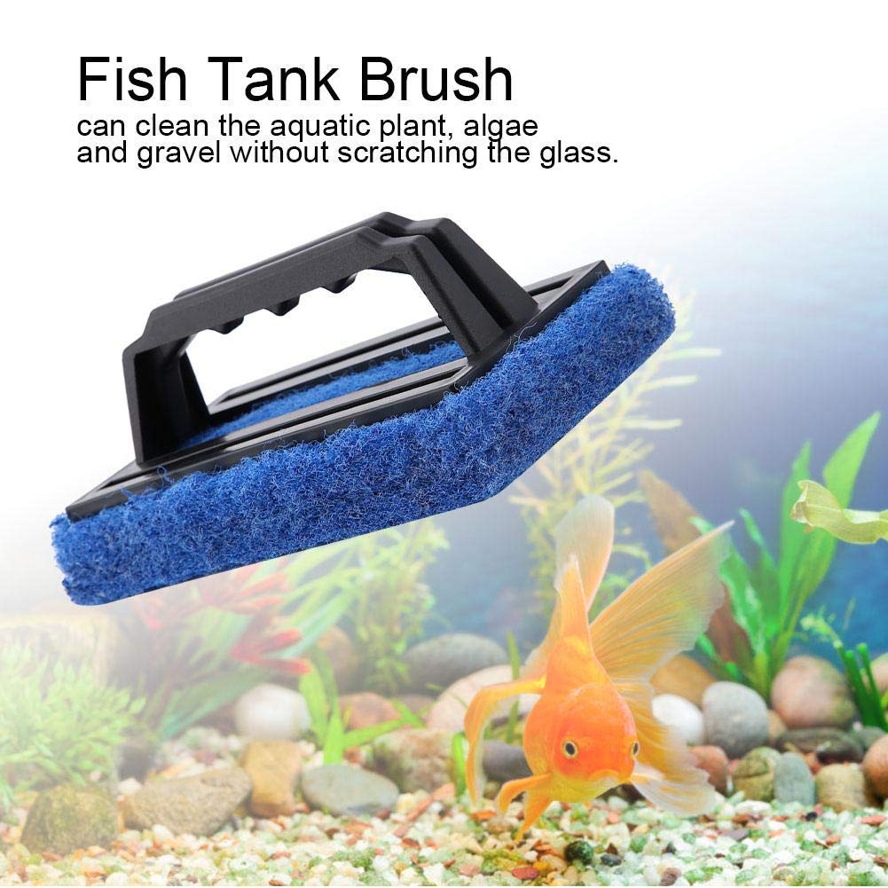 Your one-stop shop for diverse, top-quality aquarium supplies and accessories