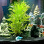 Your one-stop shop for diverse, top-quality aquarium supplies and accessories