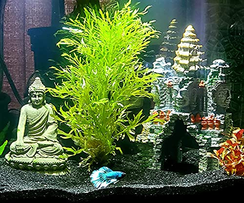 Your one-stop shop for diverse, top-quality aquarium supplies and accessories