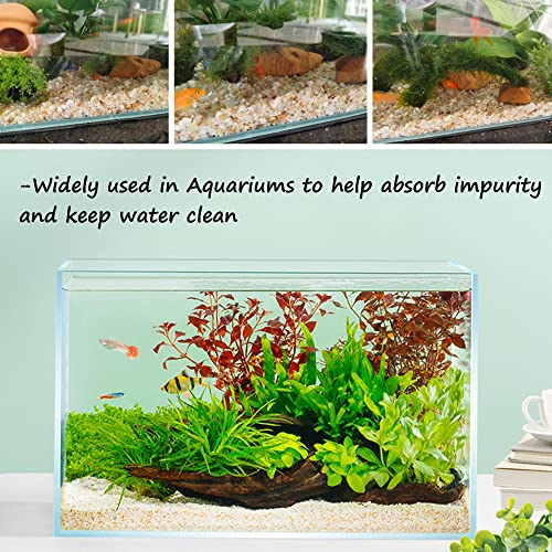 Your one-stop shop for diverse, top-quality aquarium supplies and accessories