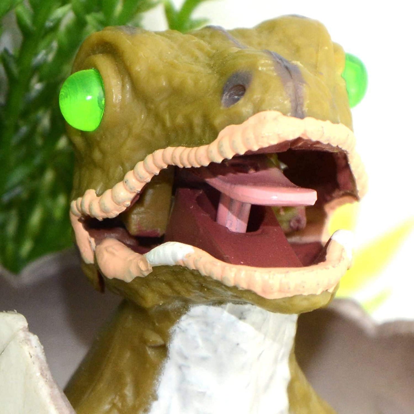 Your one-stop shop for diverse, top-quality aquarium supplies and accessories