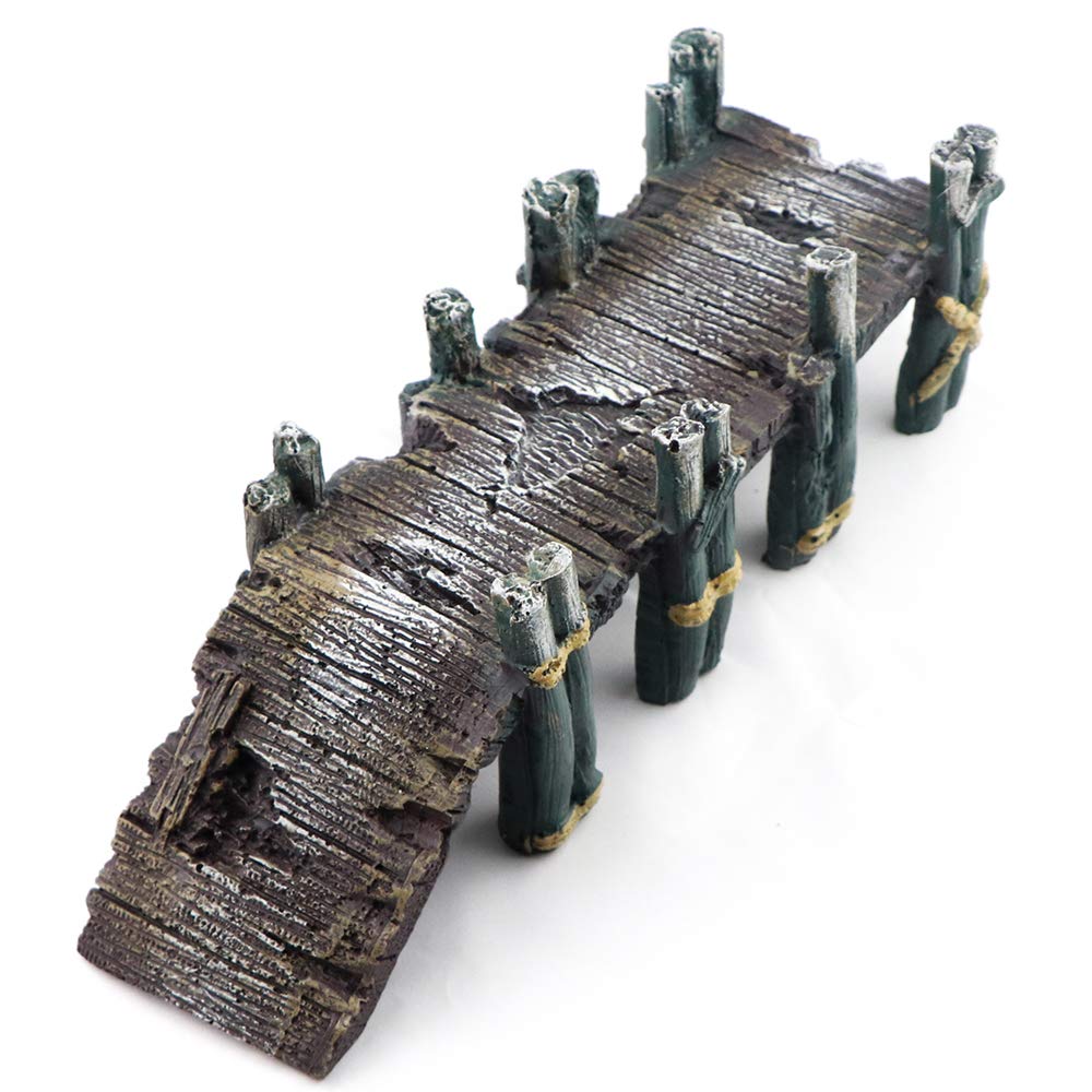 Your one-stop shop for diverse, top-quality aquarium supplies and accessories