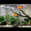 Your one-stop shop for diverse, top-quality aquarium supplies and accessories