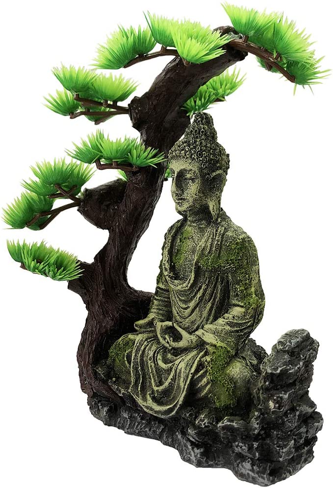 Your one-stop shop for diverse, top-quality aquarium supplies and accessories