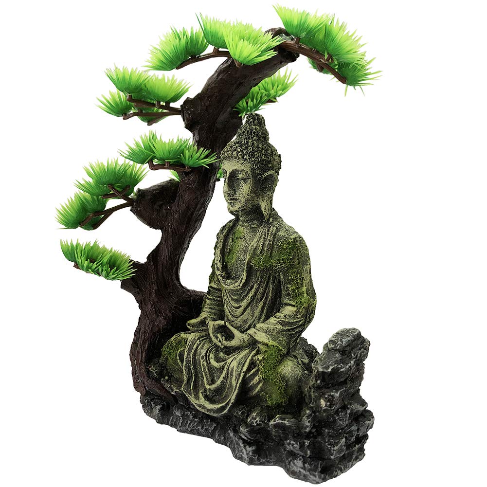 Your one-stop shop for diverse, top-quality aquarium supplies and accessories