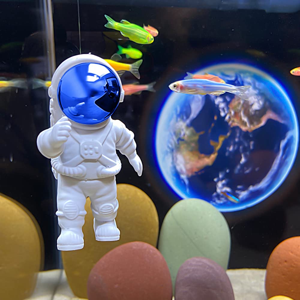 Your one-stop shop for diverse, top-quality aquarium supplies and accessories