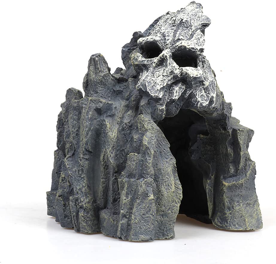 Your one-stop shop for diverse, top-quality aquarium supplies and accessories