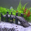 Your one-stop shop for diverse, top-quality aquarium supplies and accessories