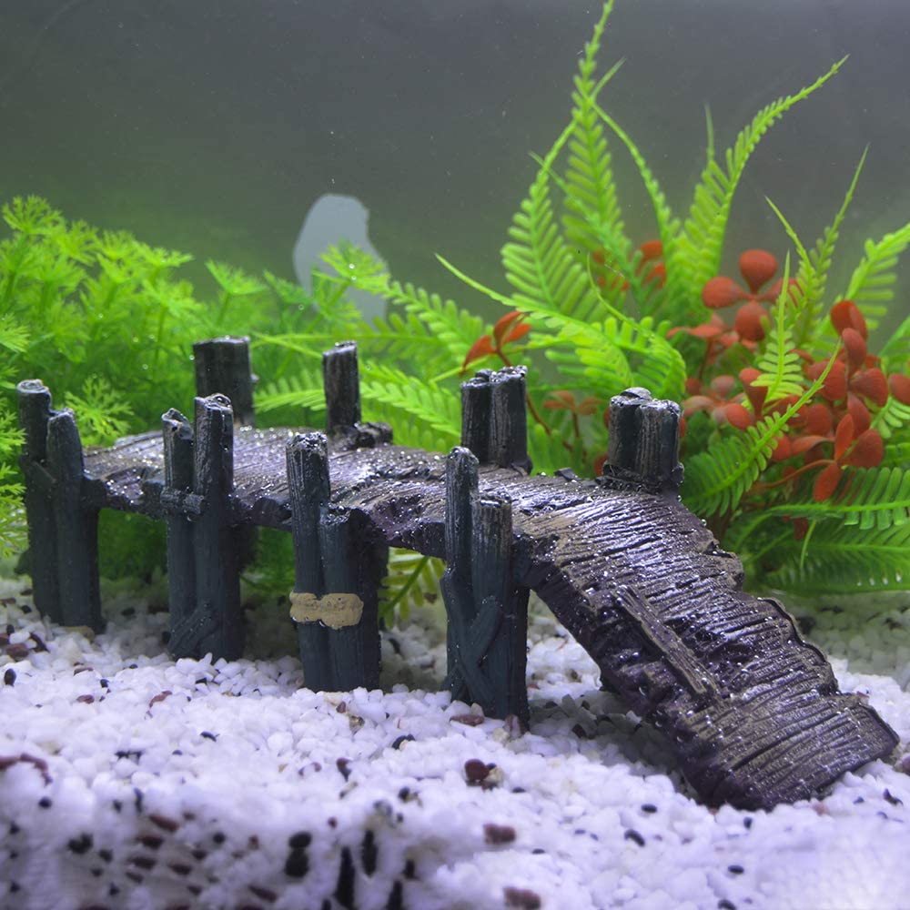Your one-stop shop for diverse, top-quality aquarium supplies and accessories