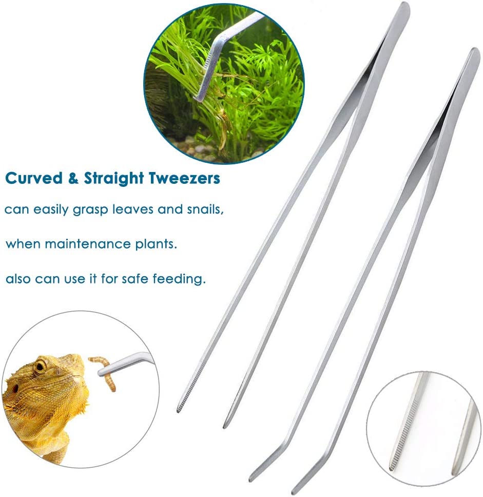 Your one-stop shop for diverse, top-quality aquarium supplies and accessories