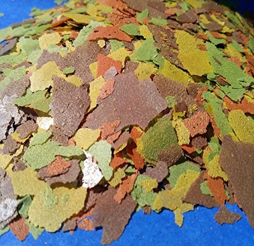 Your one-stop shop for diverse, top-quality aquarium supplies and accessories