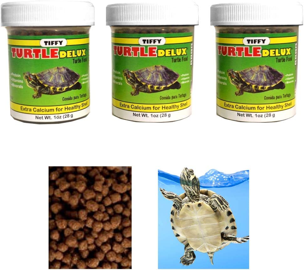 Your one-stop shop for diverse, top-quality aquarium supplies and accessories