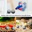 Your one-stop shop for diverse, top-quality aquarium supplies and accessories
