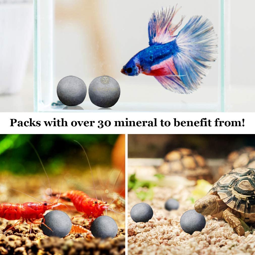 Your one-stop shop for diverse, top-quality aquarium supplies and accessories