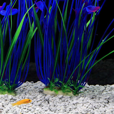 Your one-stop shop for diverse, top-quality aquarium supplies and accessories