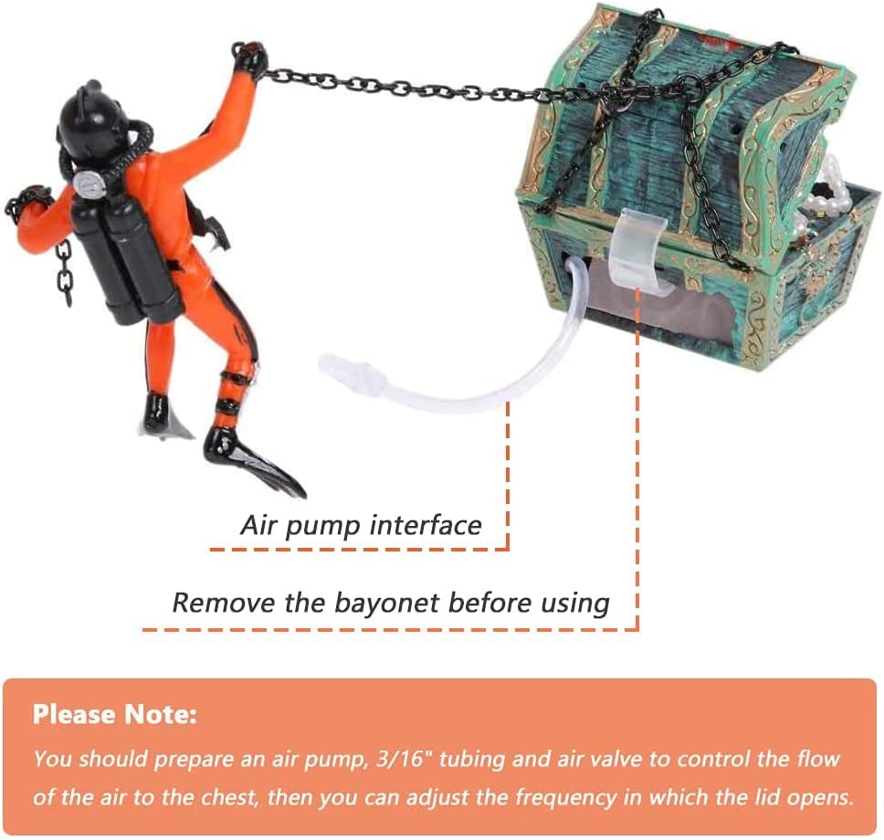 Your one-stop shop for diverse, top-quality aquarium supplies and accessories