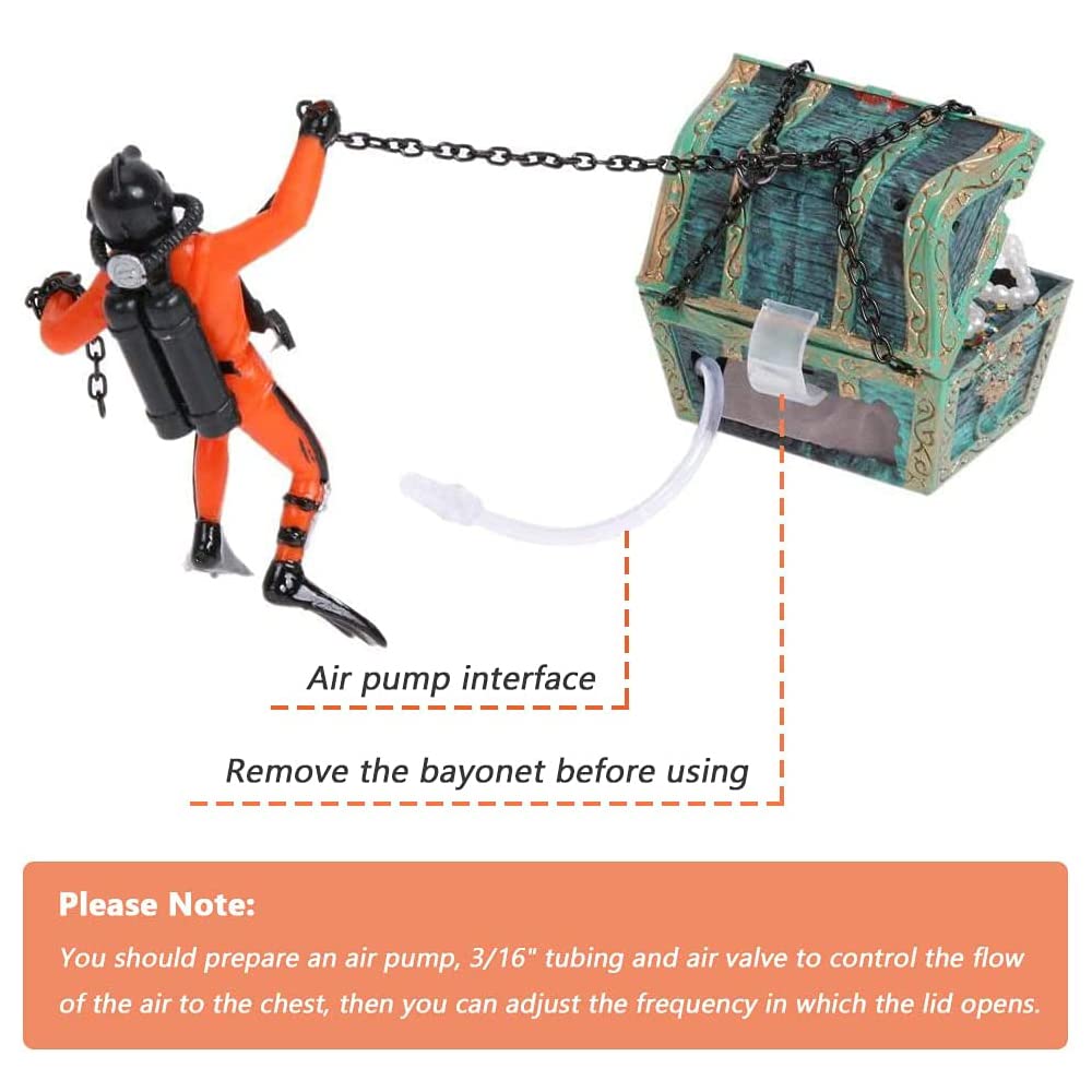 Your one-stop shop for diverse, top-quality aquarium supplies and accessories