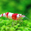 Your one-stop shop for diverse, top-quality aquarium supplies and accessories