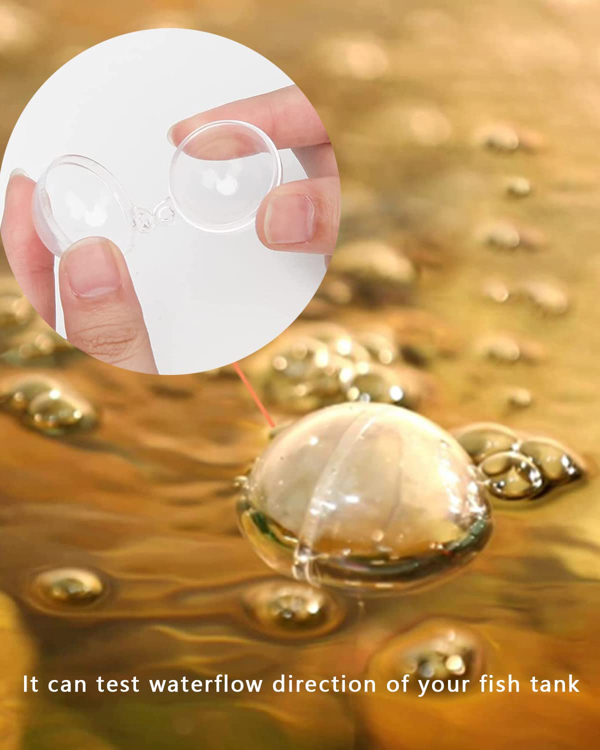 Your one-stop shop for diverse, top-quality aquarium supplies and accessories