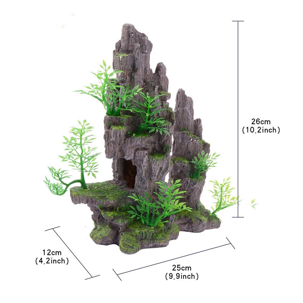 Your one-stop shop for diverse, top-quality aquarium supplies and accessories