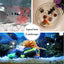 Your one-stop shop for diverse, top-quality aquarium supplies and accessories