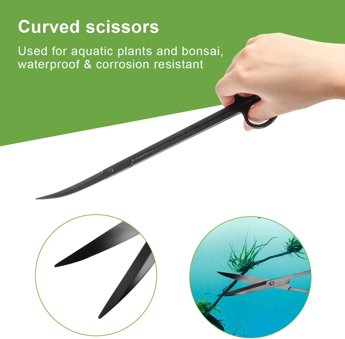 Your one-stop shop for diverse, top-quality aquarium supplies and accessories