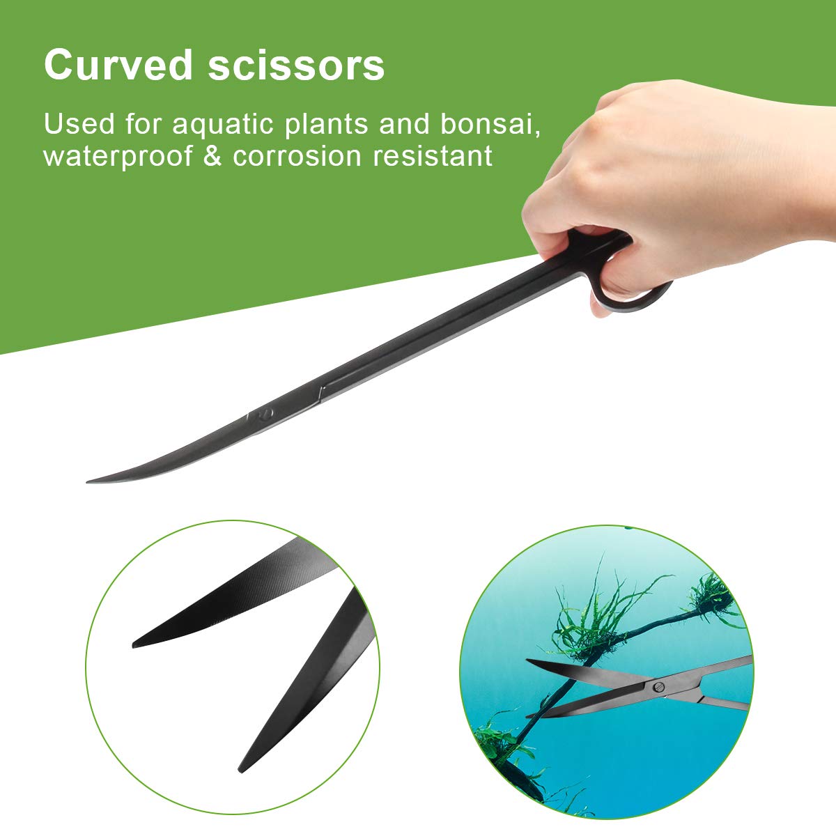 Your one-stop shop for diverse, top-quality aquarium supplies and accessories