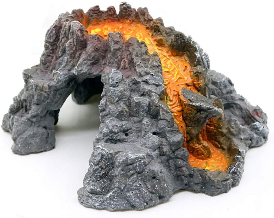 Your one-stop shop for diverse, top-quality aquarium supplies and accessories