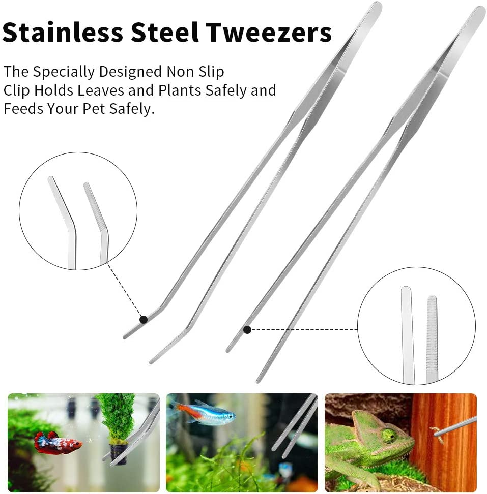Your one-stop shop for diverse, top-quality aquarium supplies and accessories