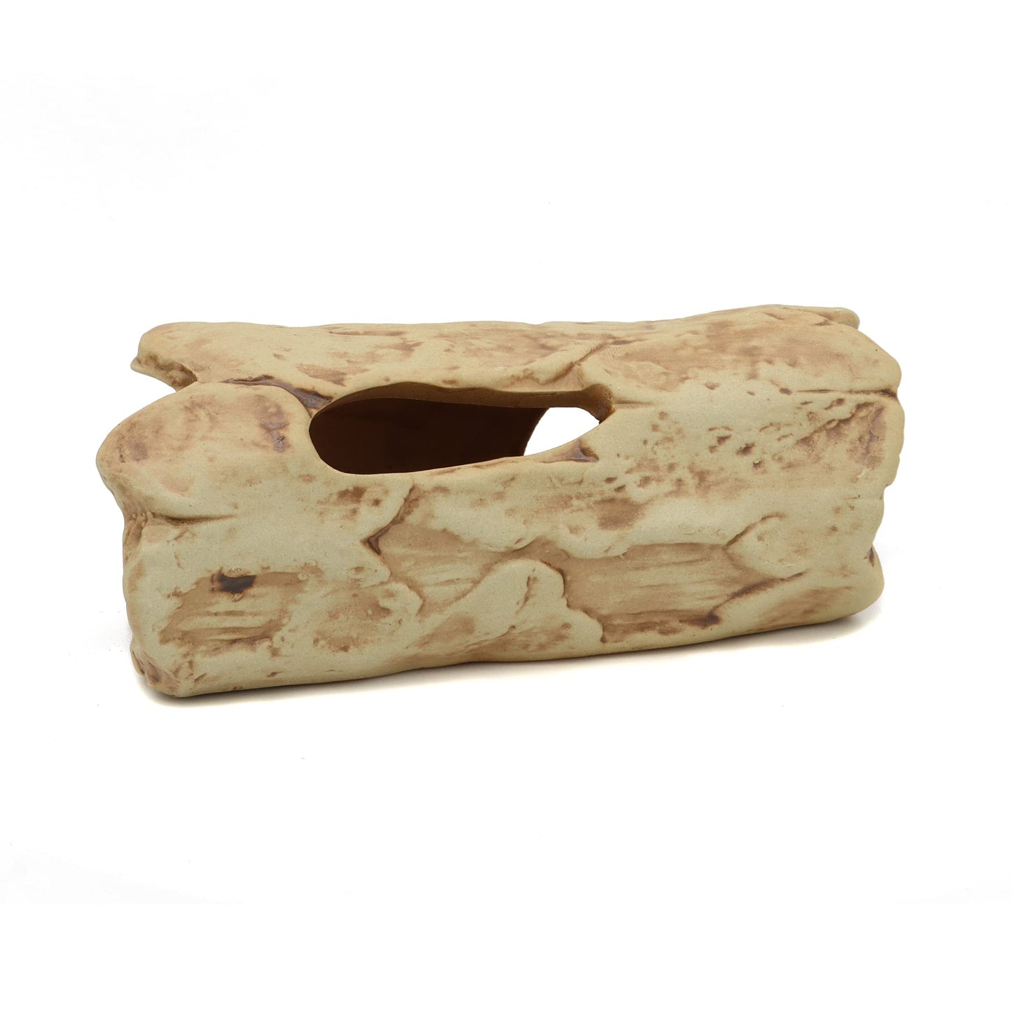 Your one-stop shop for diverse, top-quality aquarium supplies and accessories