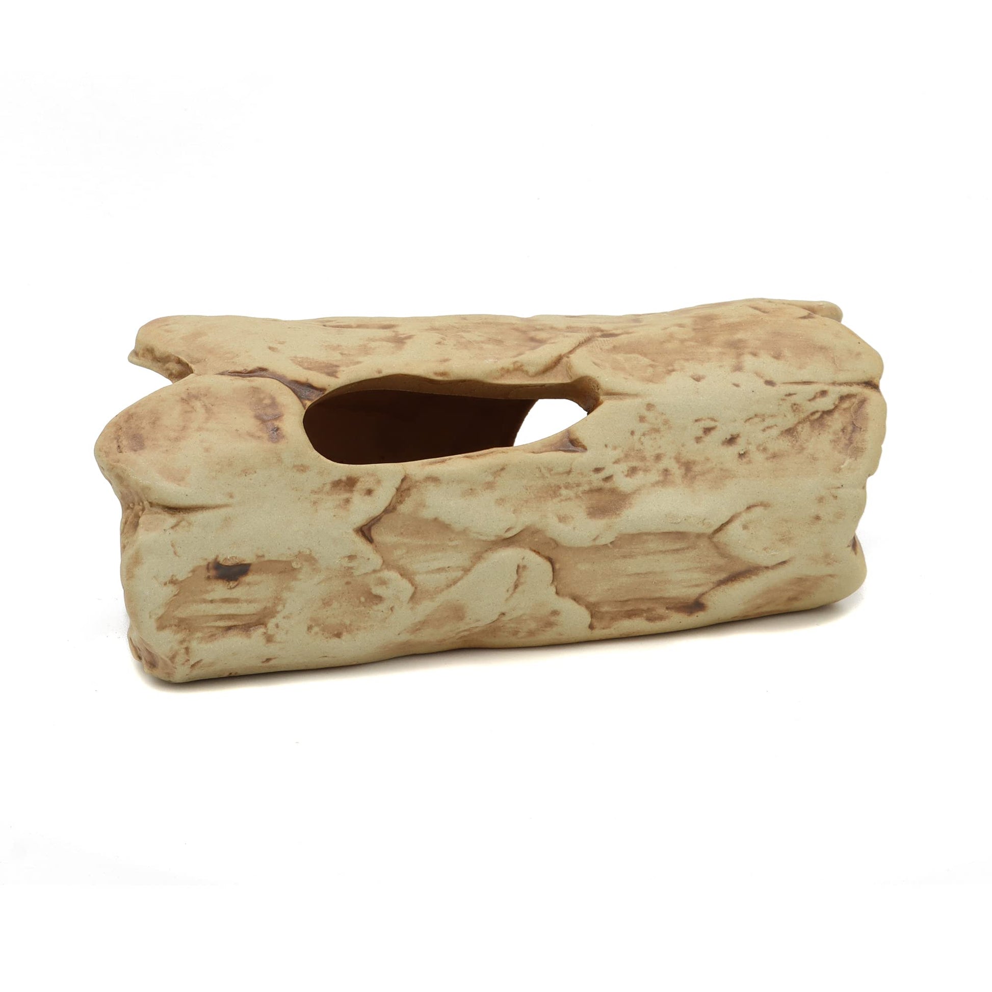 Your one-stop shop for diverse, top-quality aquarium supplies and accessories