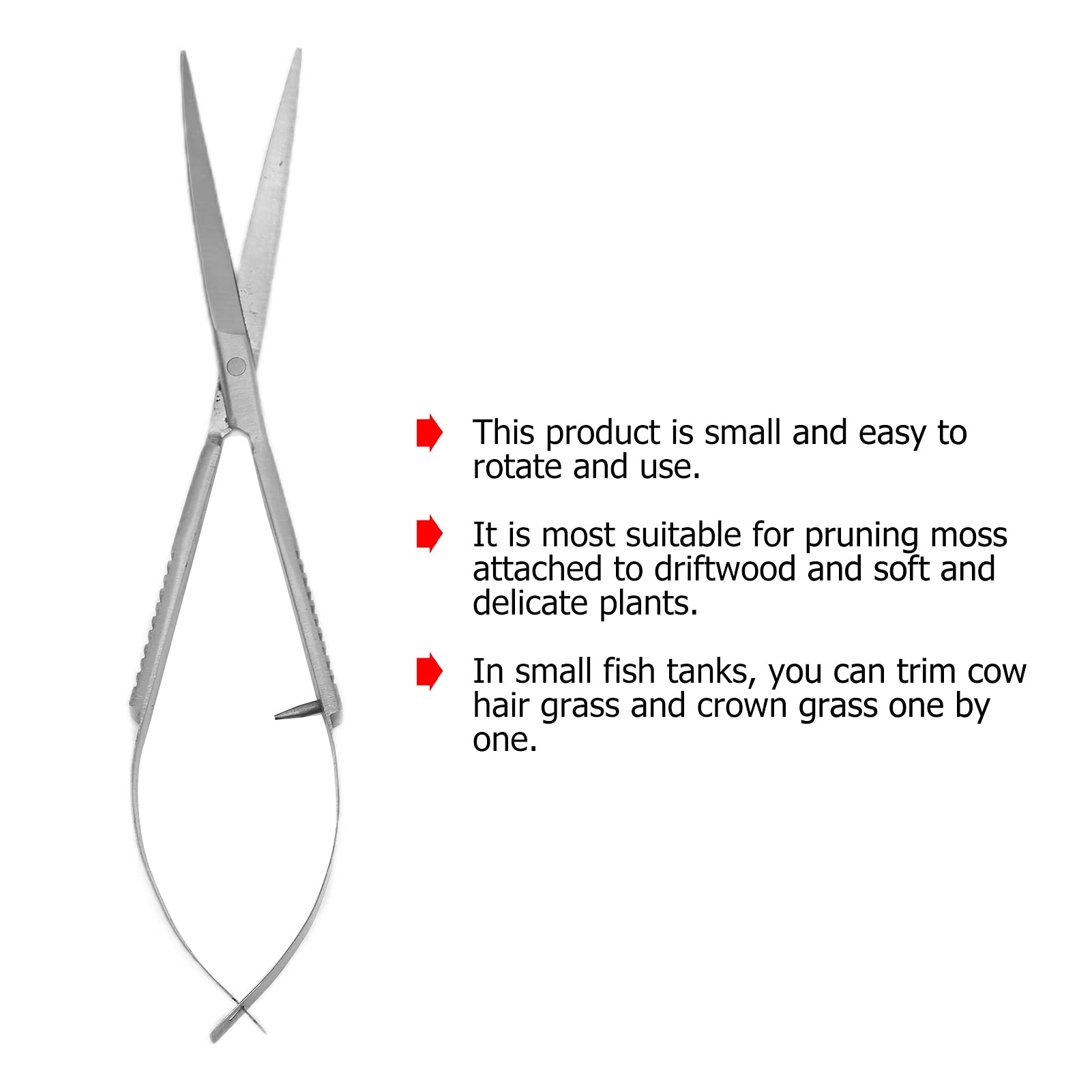 Your one-stop shop for diverse, top-quality aquarium supplies and accessories