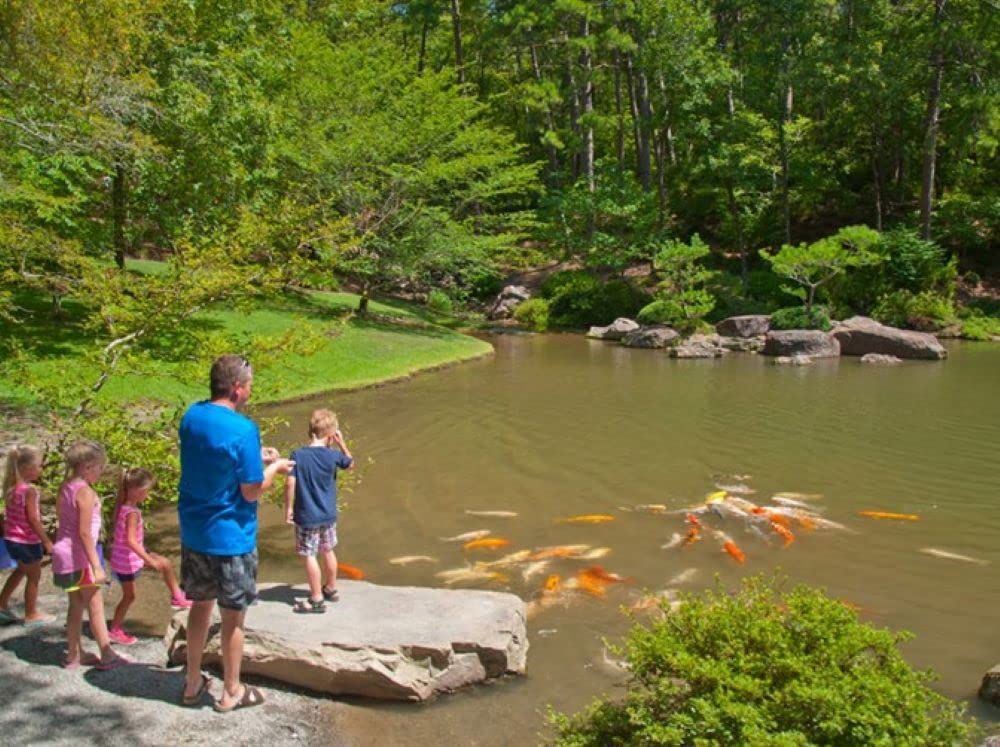 Your one-stop shop for diverse, top-quality aquarium supplies and accessories