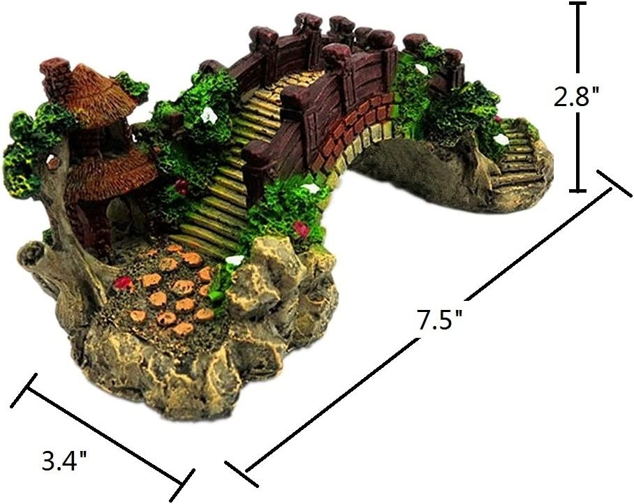 Your one-stop shop for diverse, top-quality aquarium supplies and accessories