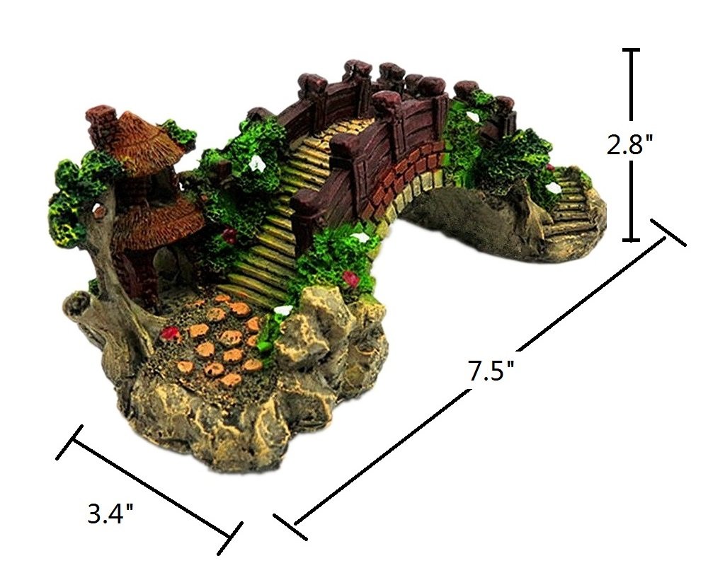 Your one-stop shop for diverse, top-quality aquarium supplies and accessories